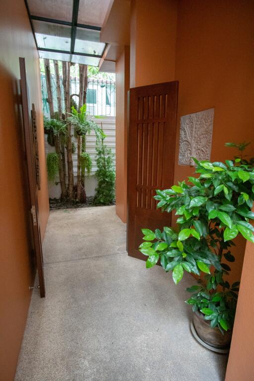 Indoor hallway with plants and greenery