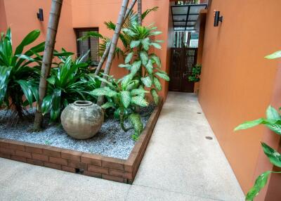 Indoor garden area with pathway and potted plants