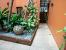 Indoor garden area with pathway and potted plants