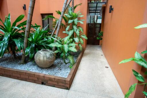 Indoor garden area with pathway and potted plants