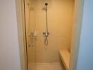 Shower area with glass door, bench seat, and shower head