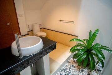 Modern bathroom with sleek sink and indoor plant