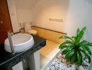 Modern bathroom with sleek sink and indoor plant