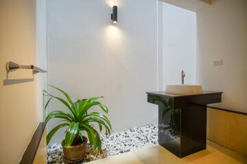 Modern bathroom with plant and minimalist design