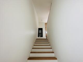 View of a staircase with wooden steps and white walls