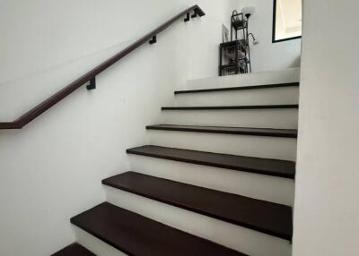 Staircase with dark wooden steps and handrail