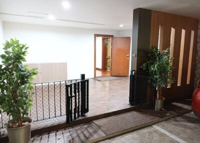 entrance with open wooden door and plants