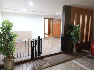 entrance with open wooden door and plants