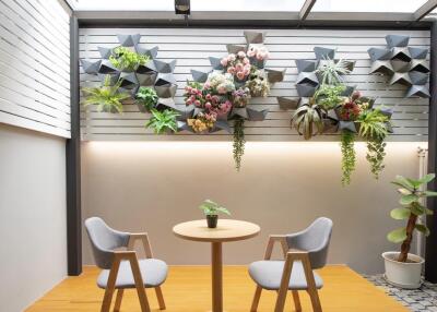 Modern patio with vertical garden