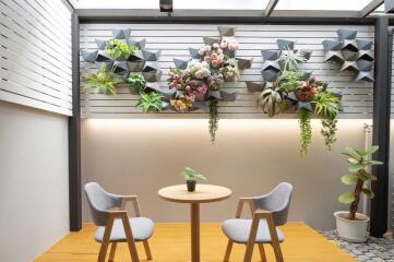 Modern patio with vertical garden