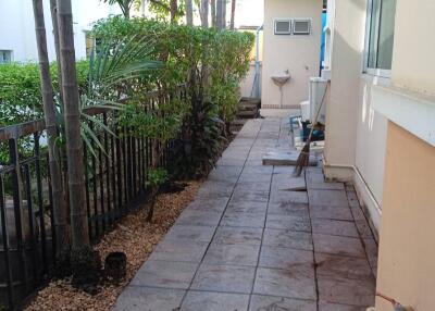 Outdoor walkway next to the house with greenery