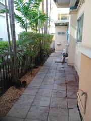 Outdoor walkway next to the house with greenery