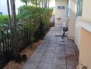 Outdoor walkway next to the house with greenery