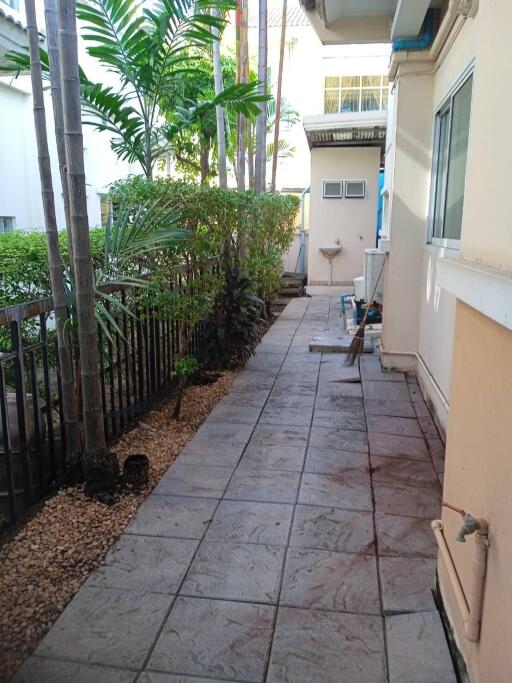 Outdoor walkway next to the house with greenery