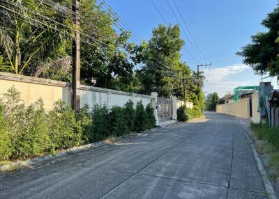 Quiet neighborhood street with lush greenery