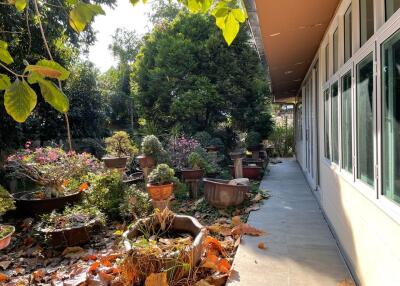 Beautiful garden area with potted plants and greenery