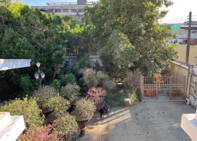 A green garden area with multiple potted plants and trees