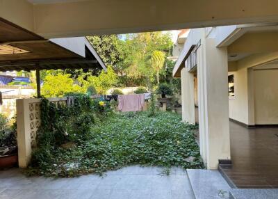 Outdoor garden space with green vegetation