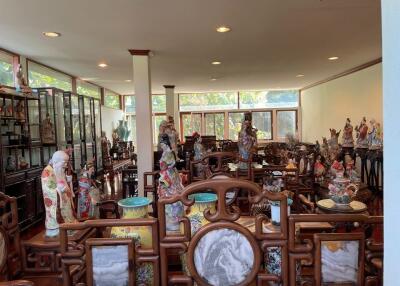 Living room with numerous decorative figurines and wooden furniture