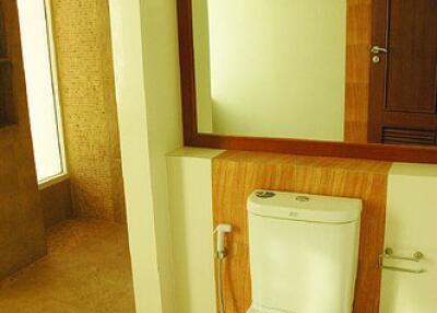 Modern bathroom with toilet, mirror, and shower area