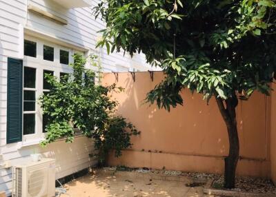 Garden area with tree and exterior of a building