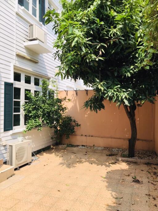 Garden area with tree and exterior of a building