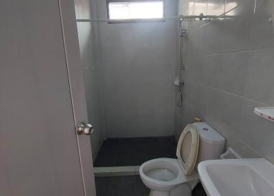 Small bathroom with toilet, sink, and shower