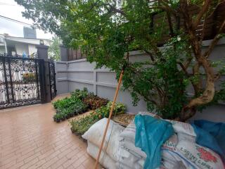 Outdoor garden space with plants and tree