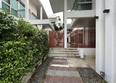 Modern exterior view with garden path and wooden privacy screen