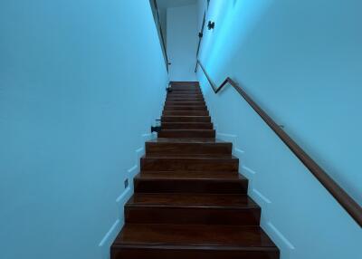 Staircase with wooden steps and white walls