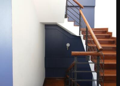 Modern staircase with wooden steps and blue wall accents