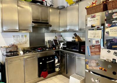 Modern kitchen with stainless steel cabinets