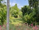 Lush garden with greenery and flowers