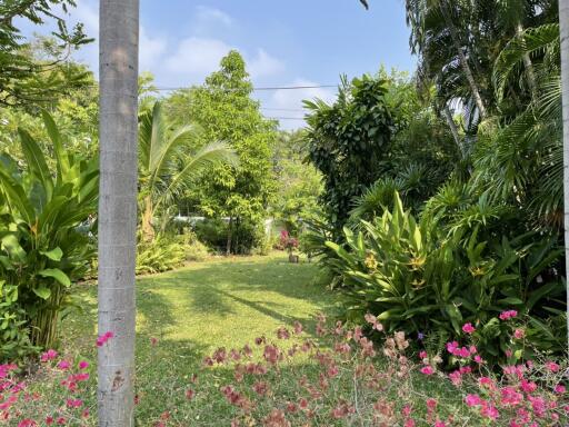 Lush garden with greenery and flowers