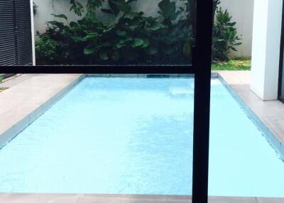 Swimming pool view from indoors with surrounding greenery