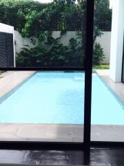 Swimming pool view from indoors with surrounding greenery