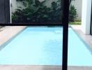 Swimming pool view from indoors with surrounding greenery