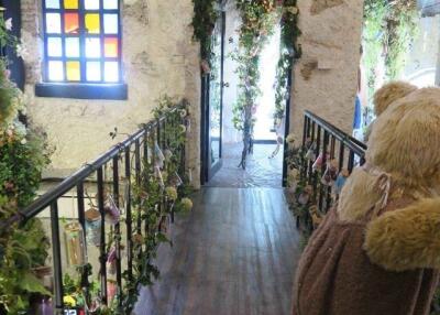 Arched hallway with wooden flooring and decorated with plants