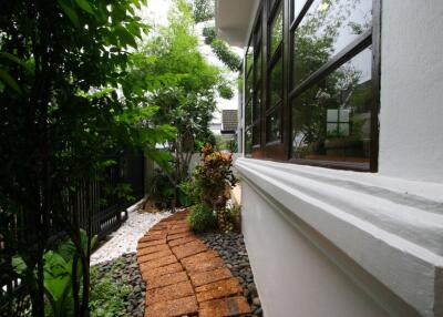 Side garden with footpath and greenery