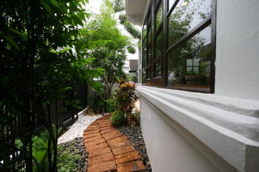 Side garden with footpath and greenery