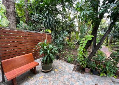 Lush green outdoor garden with bench and potted plants