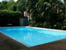 Swimming pool area with surrounding greenery