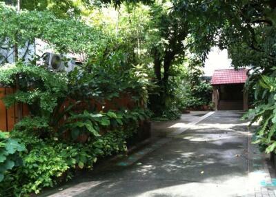 Outdoor pathway surrounded by lush greenery