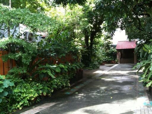 Outdoor pathway surrounded by lush greenery