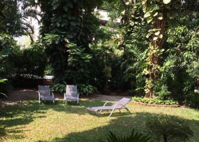 Beautiful garden with lush greenery and sun loungers