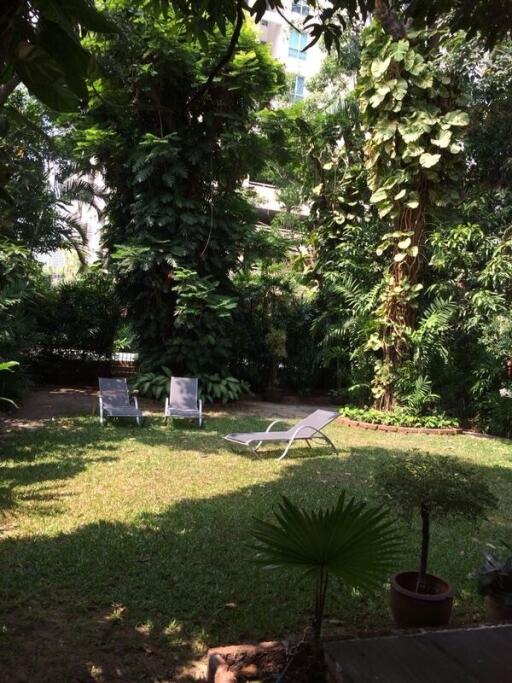 Beautiful garden with lush greenery and sun loungers