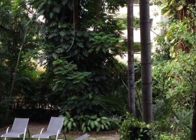 A lush garden area with lawn chairs and abundant greenery