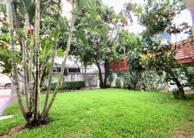 Spacious garden area with lush greenery and trees