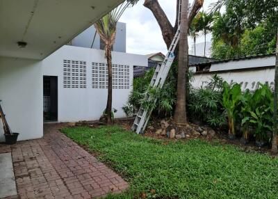 A garden with grass, a pathway, a tree with a ladder leaned against it, and surrounding plants