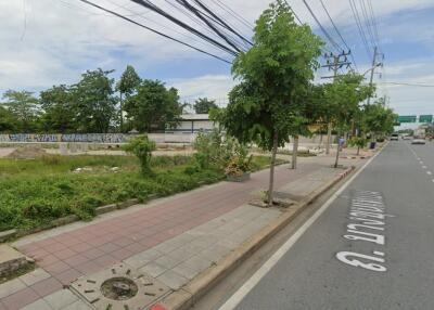 Street view with sidewalk and trees